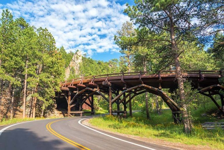 13 Great Things to Do in Custer State Park (+ One Day Itinerary)