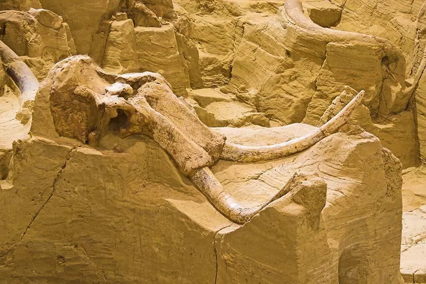 El sitio Mammoth en Dakota del Sur, EE. UU.