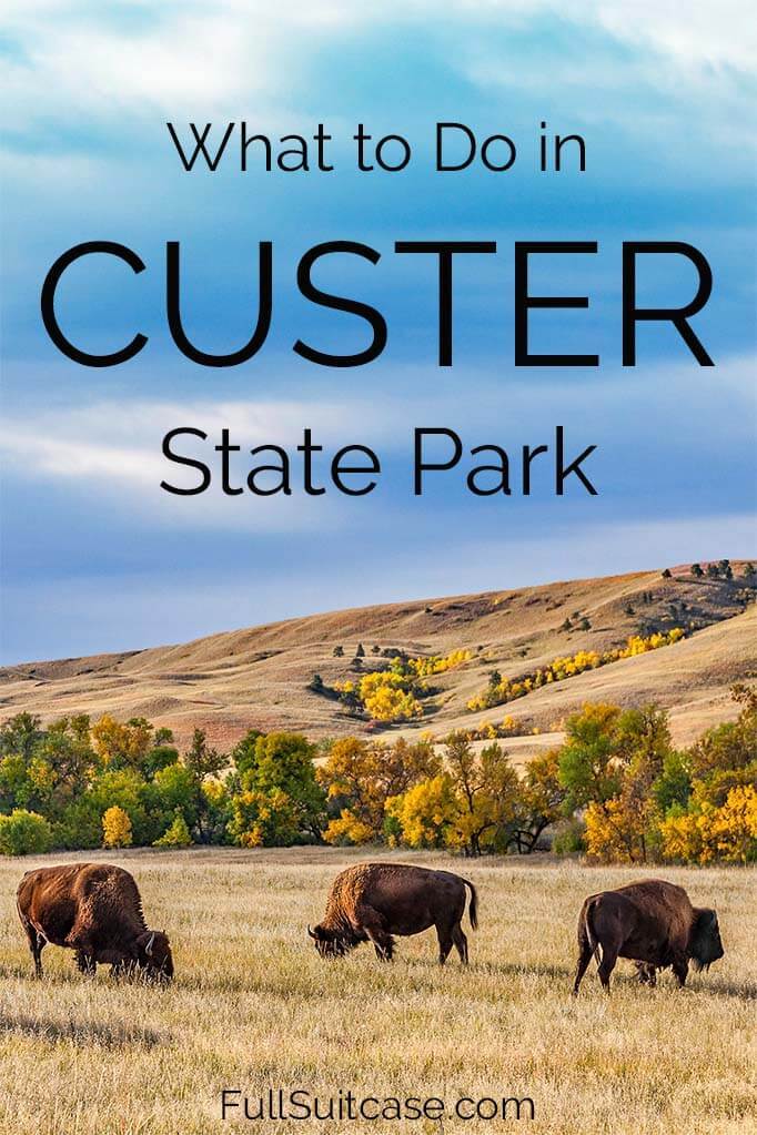 Things To Do In Custer State Park Black Hills South Dakota USA 