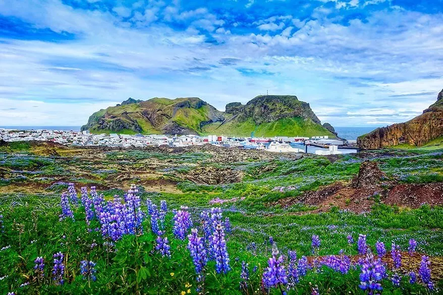 Vestmannaeyjabaer town in the Westman Islands