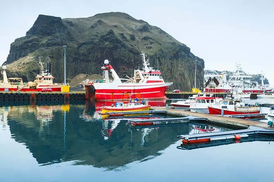 Vestmannaeyjar island harbor - Westman Islands Iceland