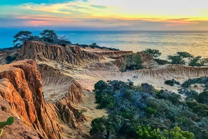 Torrey Pines State Natural Reserve in La Jolla, San Diego