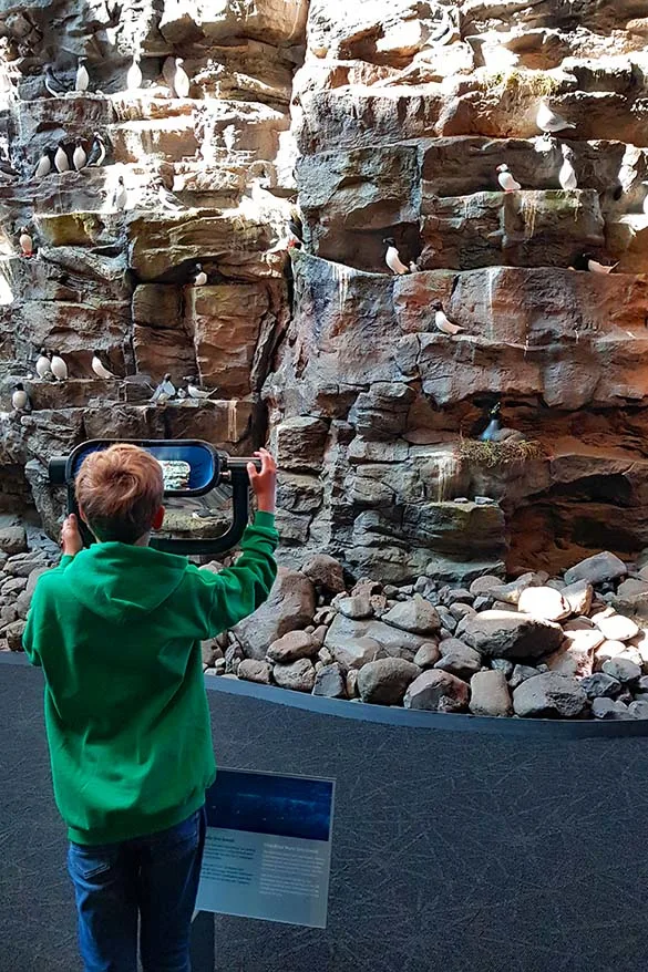 Latrabjarg bird cliffs at Perlan Museum in Reykjavik