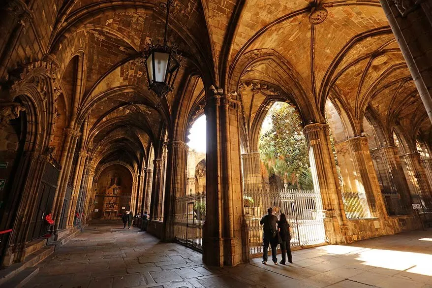 Garden of the Cathedral of Barcelona - one of the best places to see in the Gothic Quarter in Barcelona