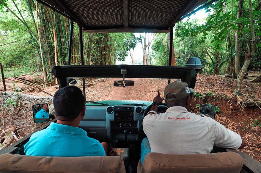 Jeep Safari Tour in Heritage Nature Reserve in Mauritius