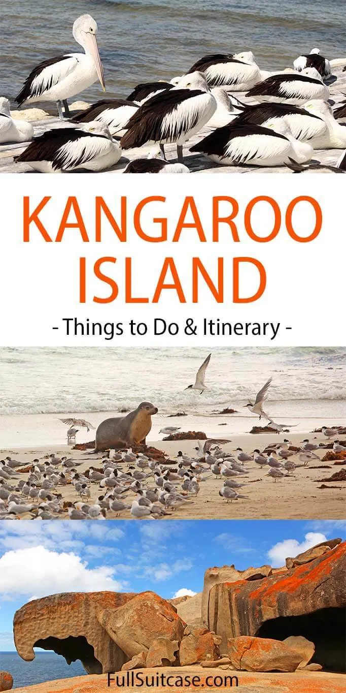 Kangaroo Island itinerary and best things to do