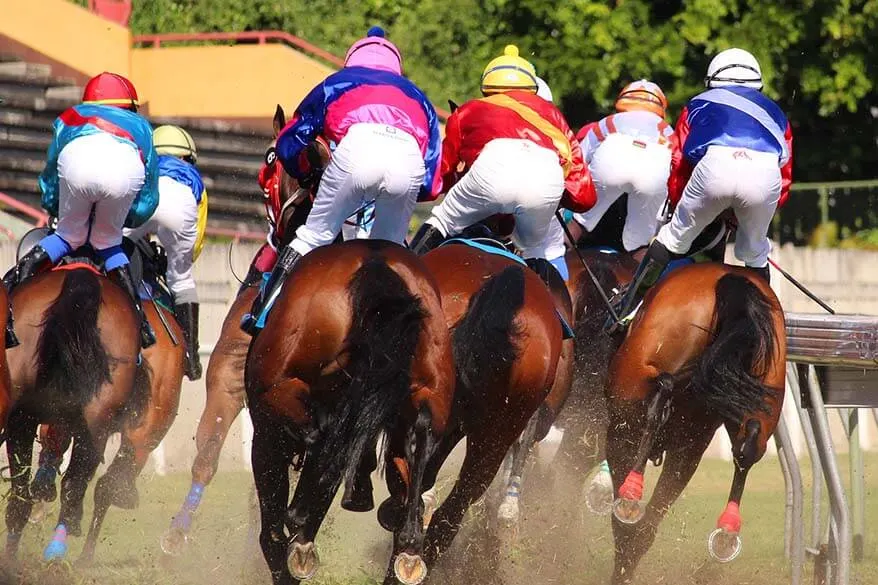 Watching horse races at Champ de Mars is one of the best local things to do in Mauritius