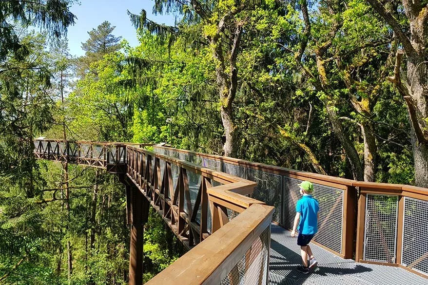 Anyksciai treetop walking path - one of the points of interest in Lithuania