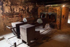 Auschwitz Tour (from Krakow): How to Visit & Important Things to Know