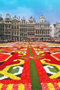 Brussels Flower Carpet: Ultimate Guide, 2024 Dates & Tips For Your Visit