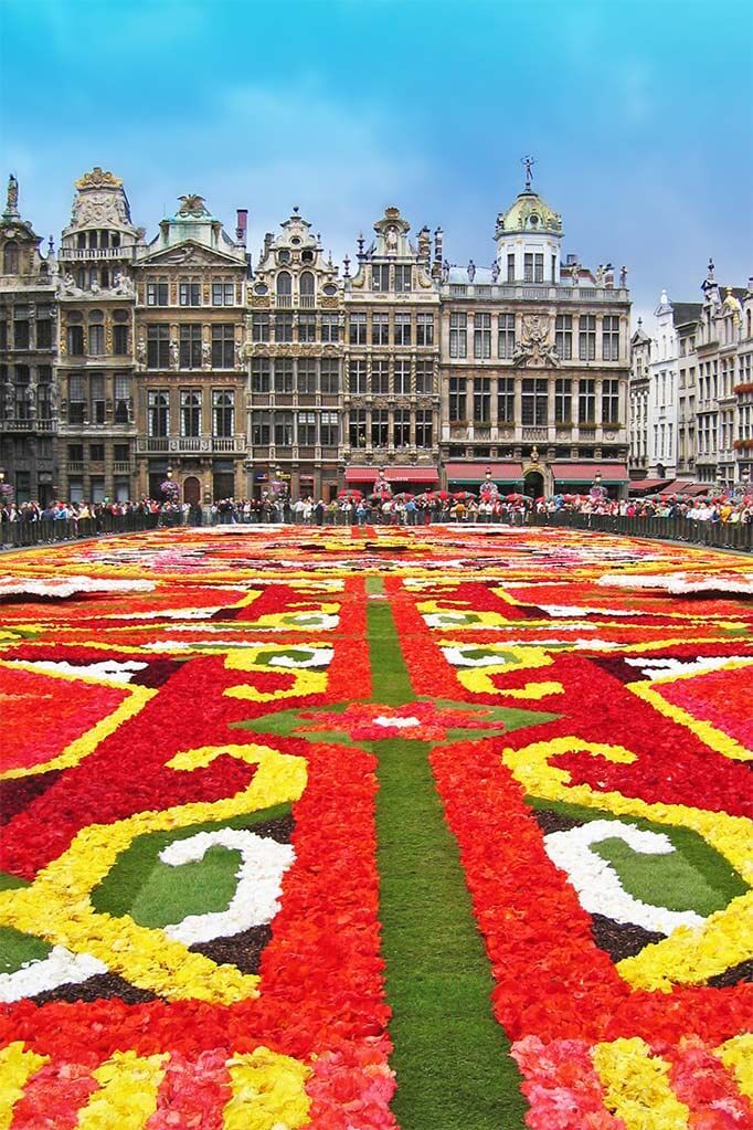 Brussels Flower Carpet 2006