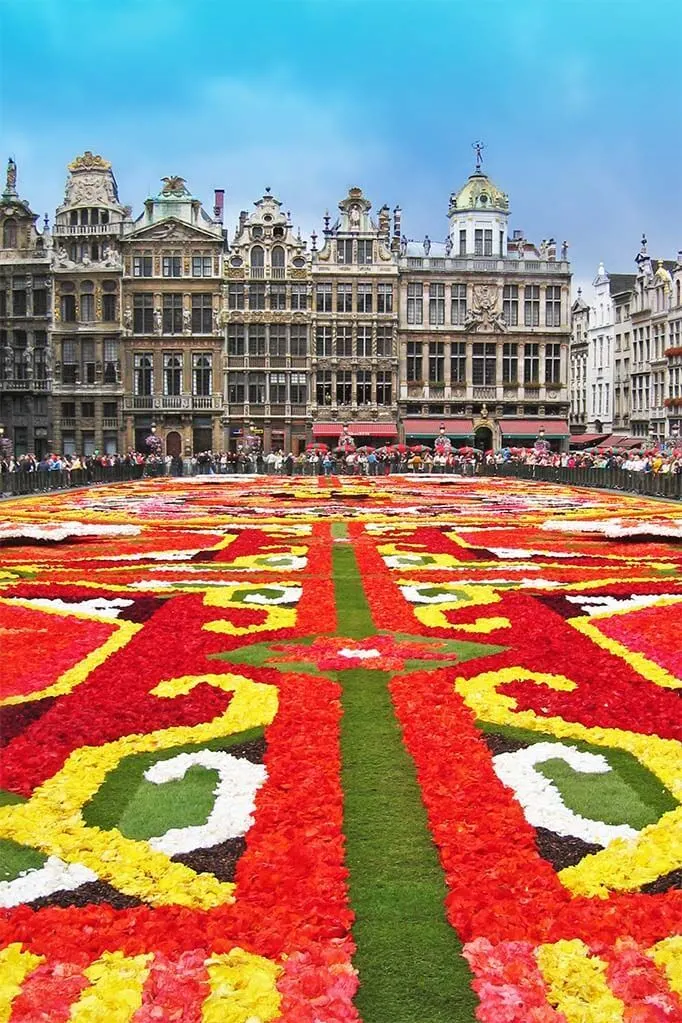 Brussels Flower Carpet Ultimate Guide, 2024 Dates & Tips for Your Visit