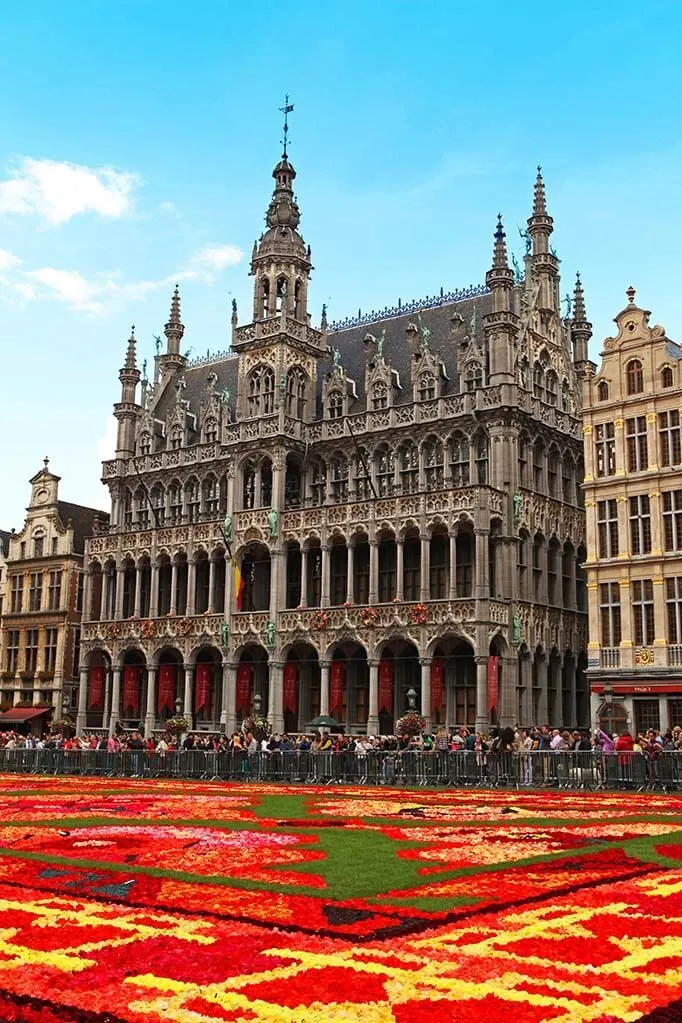 Brussels Flower Carpet 2014