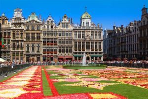 Brussels Flower Carpet