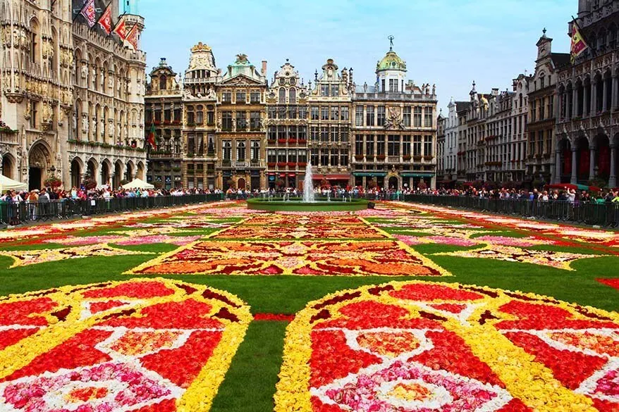 Brussels Belgium Flower Festival Best Flower Site