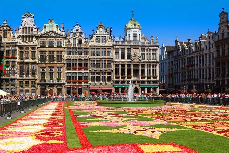 Brussels Flower Carpet: Ultimate Guide, 2024 Dates  & Tips for Your Visit