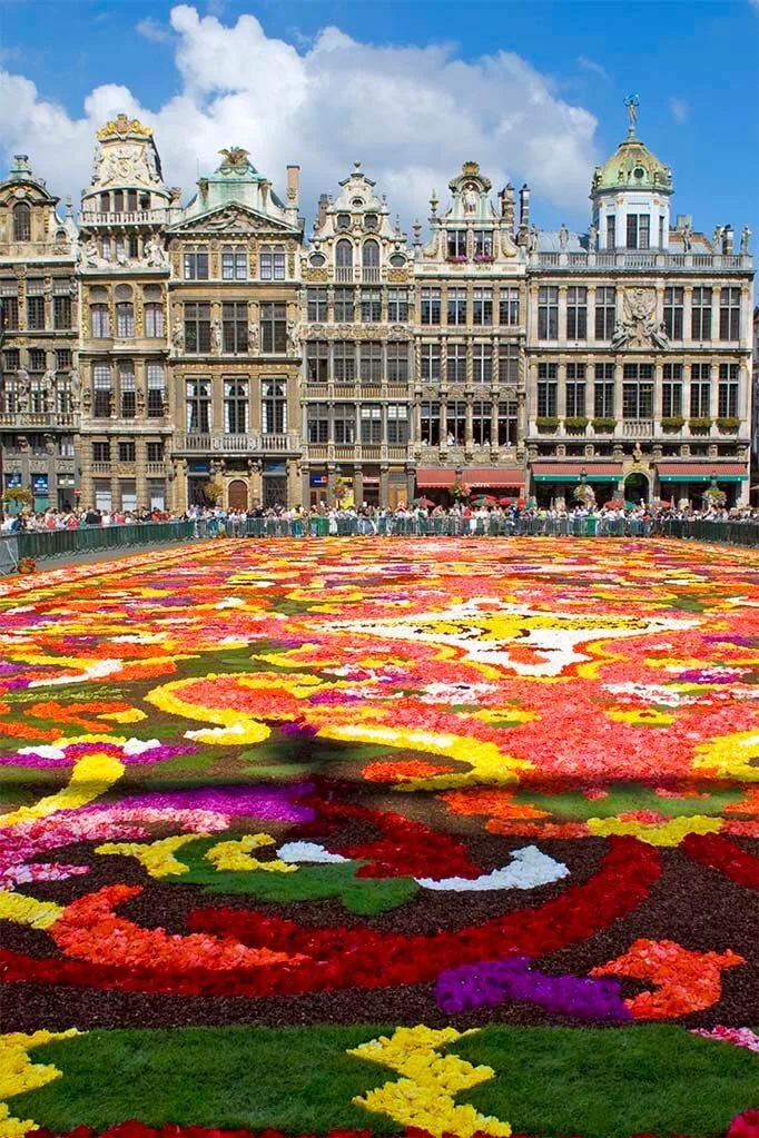 Brussels Flower Carpet 2008