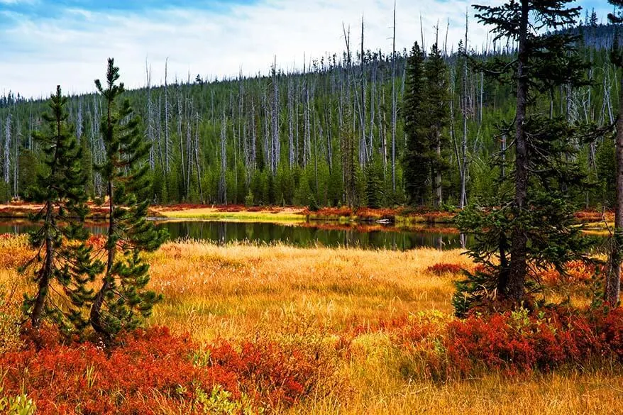 Colorful landscape of Yellowstone in the fall