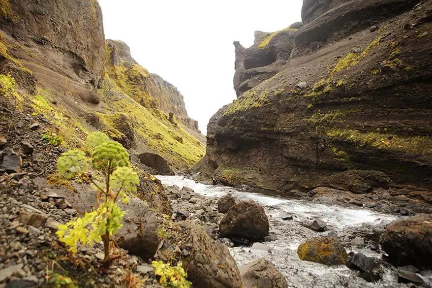 Fossa river canyon in Fossardalur valley in Iceland