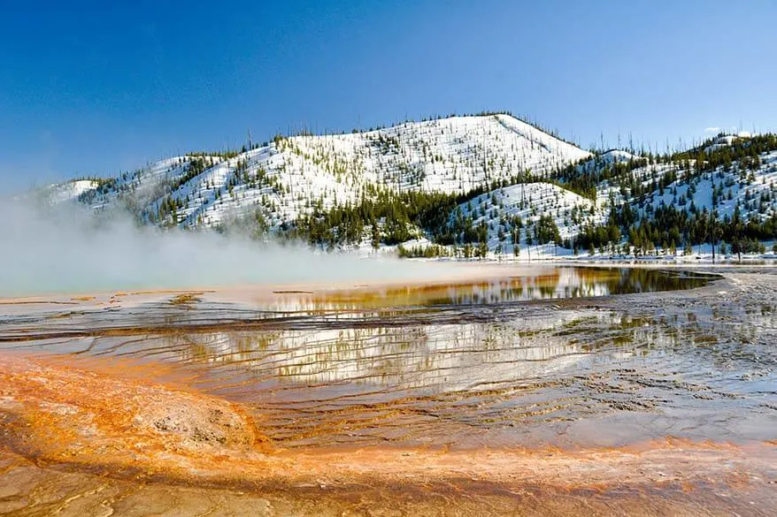 Spring in Yellowstone - Grand Prismatic Spring in Yellowstone in May
