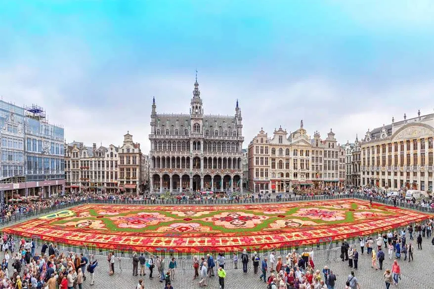 How to visit Brussels Flower Carpet in Belgium