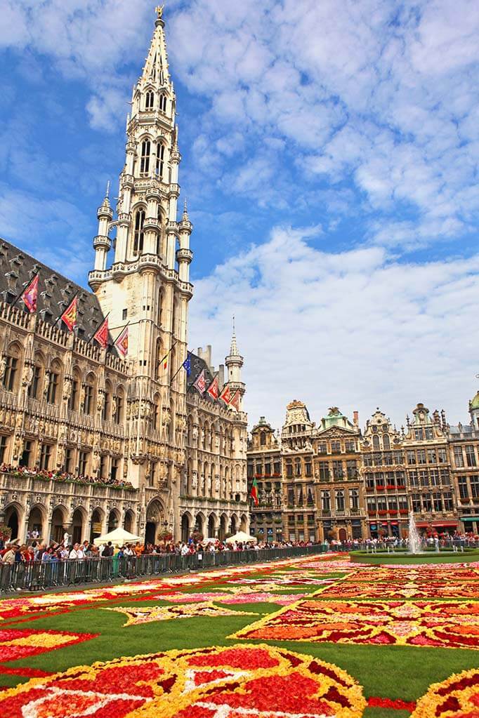 Cómo visitar la Alfombra Floral de Bruselas