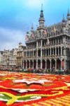 Brussels Flower Carpet: Ultimate Guide, 2024 Dates & Tips For Your Visit