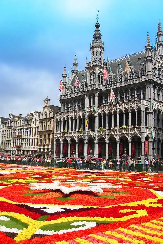 Maison du Roi - Brussels City Museum during the bi-annual Brussels Flower Carpet celebration