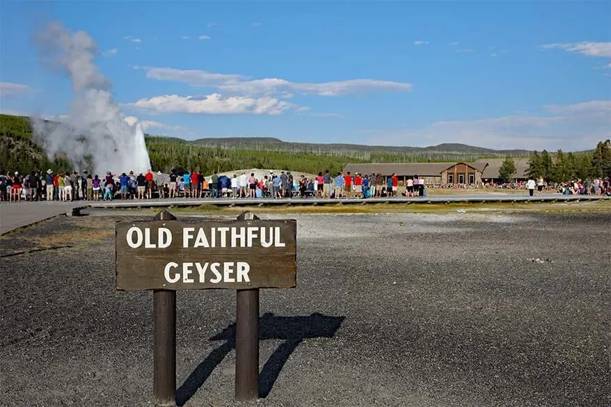 Old Faithful Geyser in Yellowstone in July