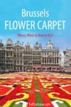 Brussels Flower Carpet: Ultimate Guide, 2024 Dates & Tips For Your Visit