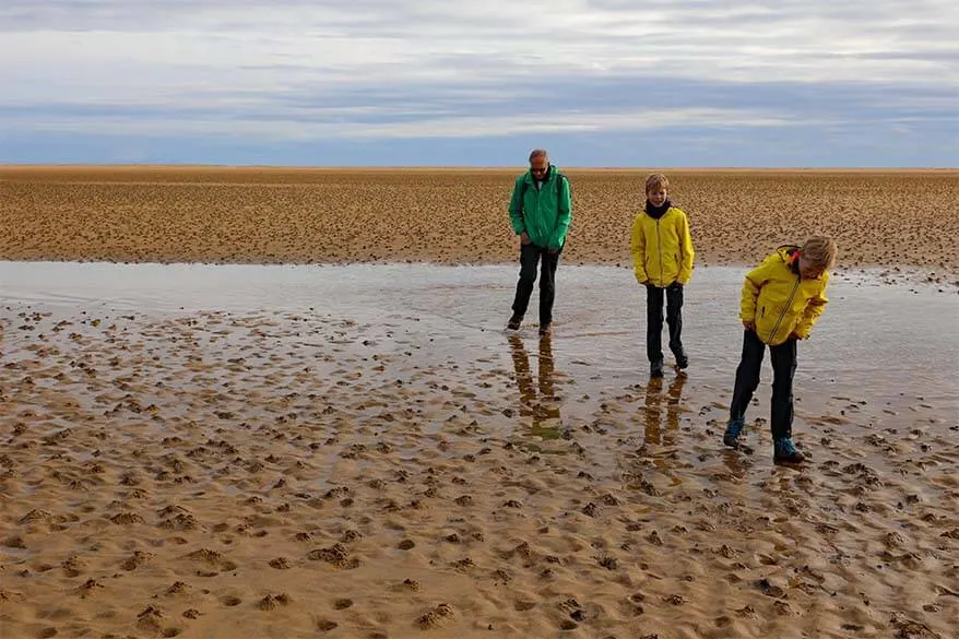 Walking through the water on Raudasandur beach in Iceland