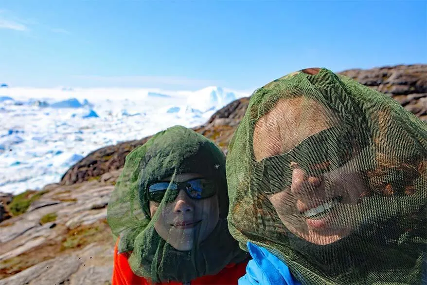 Wearing mosquito head nets at the Ilulissat Icefjord in Greenland in July