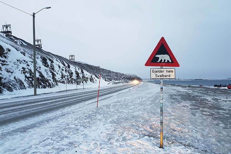 Niedźwiedź znak ostrzegawczy na drodze z Longyearbyen w Svalbard