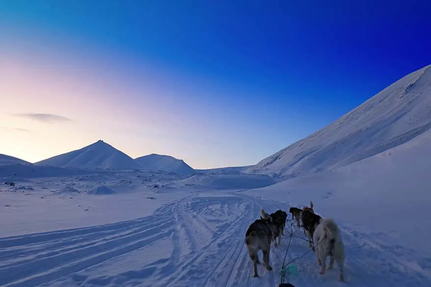 Trineos tirados por perros en Svalbard: una de las mejores cosas para hacer en invierno