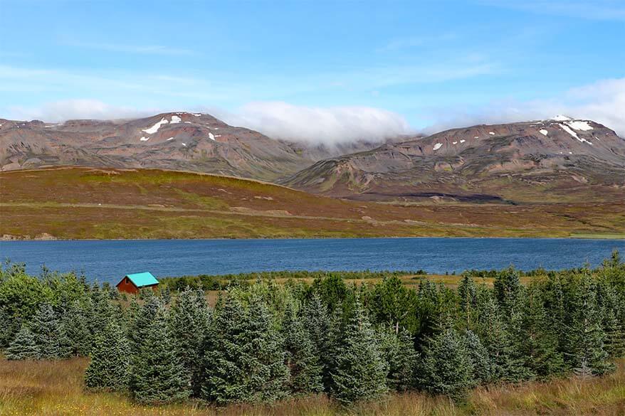 Miklavatn, North Iceland