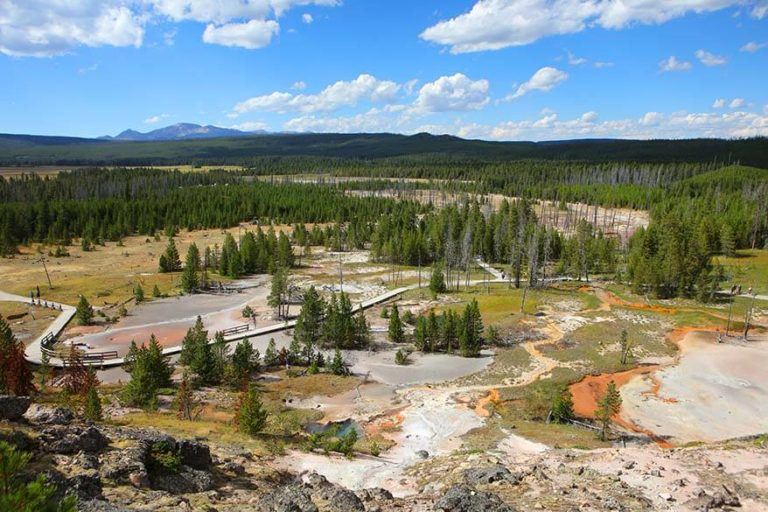 Yellowstone in Summer What to Expect + 9 Tips for Visiting in July or