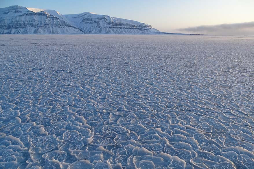 Frozen Arctic sea - Svalbard boat tour in winter