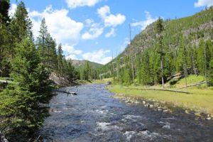 Yellowstone in Summer: What to Expect + 9 Tips for Visiting in July or ...