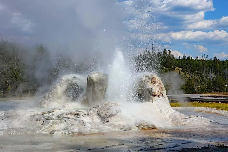 Grotto Geyser in Yellowstone