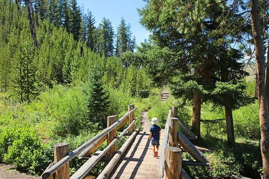 Hiking to Wraith Falls in Yellowstone in summer