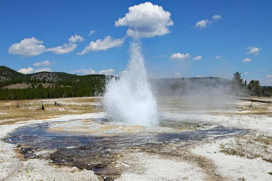 Jewel Geyser - Biscuit Basin in Yellowstone NP
