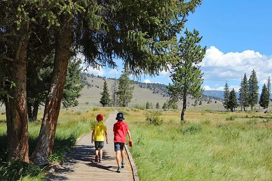 Kids hiking in Yellowstone in summer