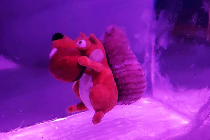 Scrat from Ice Age frozen inside an ice tunnel at Mt Titlis Glacier Cave, Switzerland