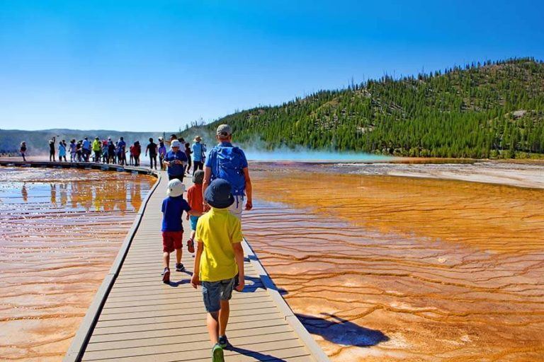 Yellowstone in Summer What to Expect + 9 Tips for Visiting in July or