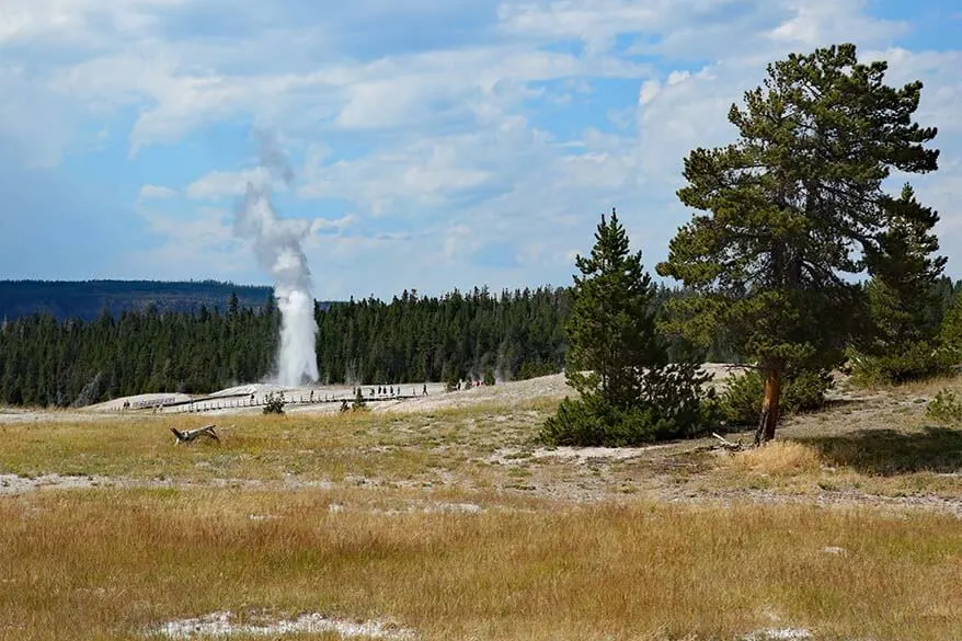 Upper Geyser Basin in Yellowstone