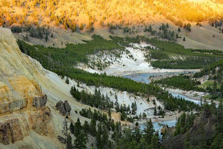 Yellowstone in Summer What to Expect + 9 Tips for Visiting in July or