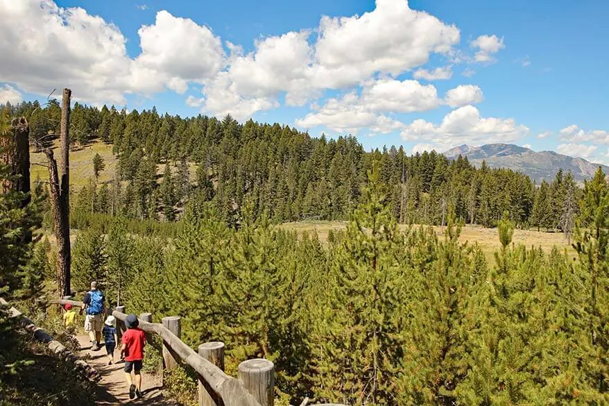 Best hikes in yellowstone in outlet june