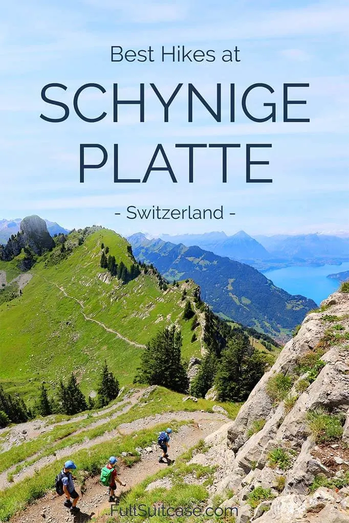 Best Schynige Platte hikes
