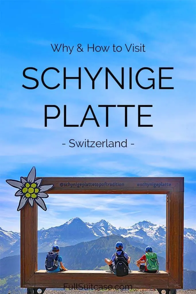 Best things to do at Schynige Platte