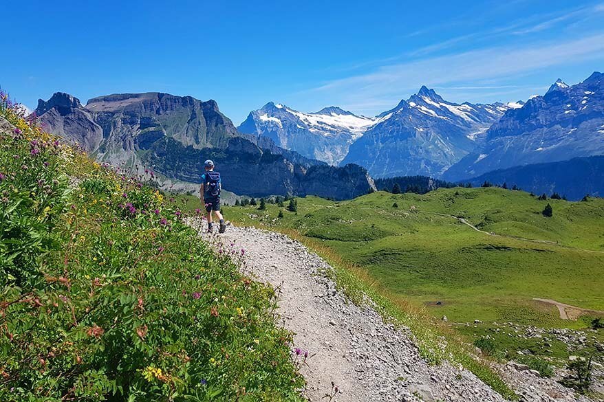 Hiking in the direction of Loucherhorn at Schynige Platte